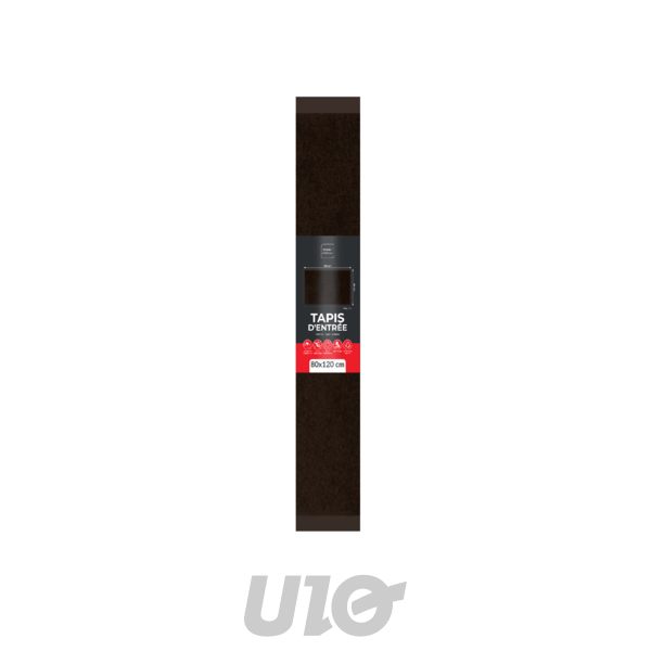 TAPIS RECTANGLE 80 x 120 CM ANTI-POUSSIERE UNI TELIO NOIR
