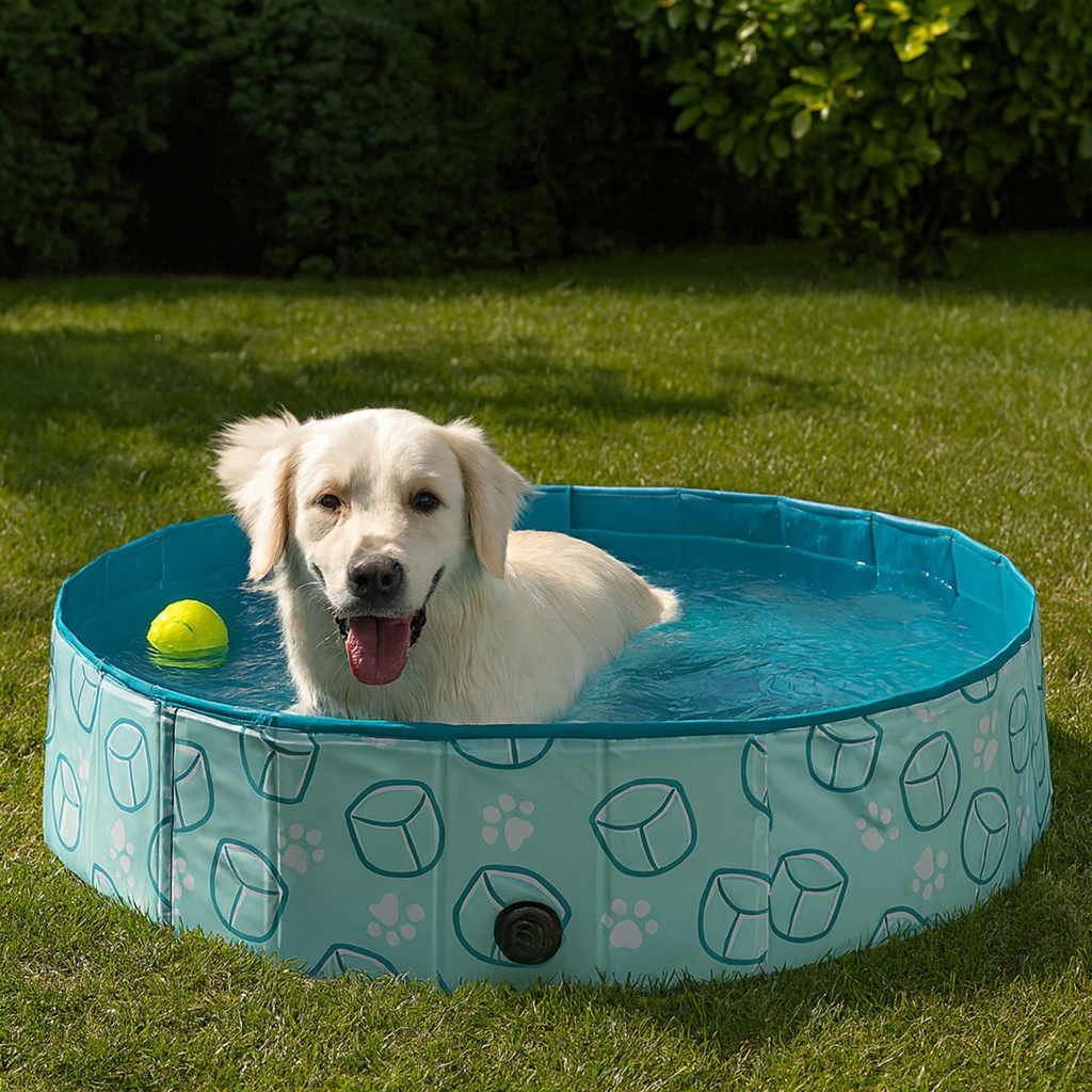 PISCINE POUR CHIEN 120CM M6
