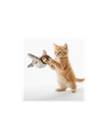 OISEAU INTERACTIF