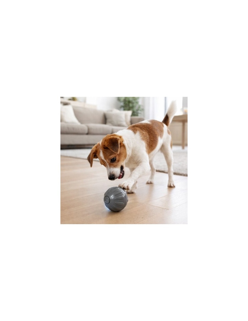 BALLE INTERACTIVE ANTHRACITE 5.3 CM