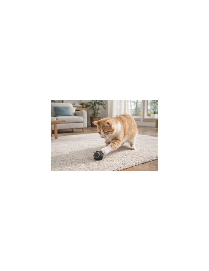 BALLE INTERACTIVE ANTHRACITE 4.2 CM