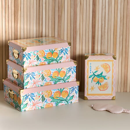 Lot de 4 boîtes Box' Eden