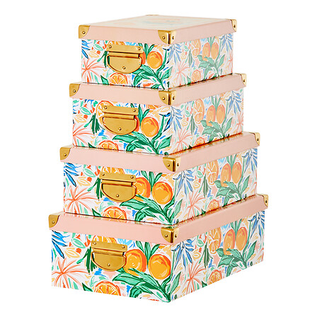 Lot de 4 boîtes Box' Eden