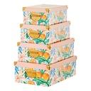 Lot de 4 boîtes Box' Eden