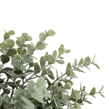 Bouquet d'eucalyptus James haut 30 cm assorti