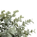 Bouquet d'eucalyptus James haut 30 cm assorti