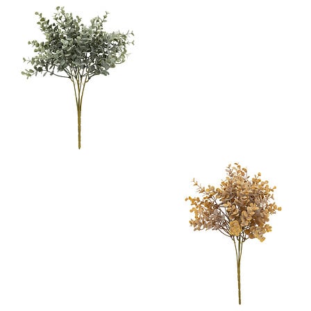 Bouquet d'eucalyptus James haut 30 cm assorti