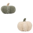 Coussin citrouille bouclette broderie Automne 32 x 18 cm assorti