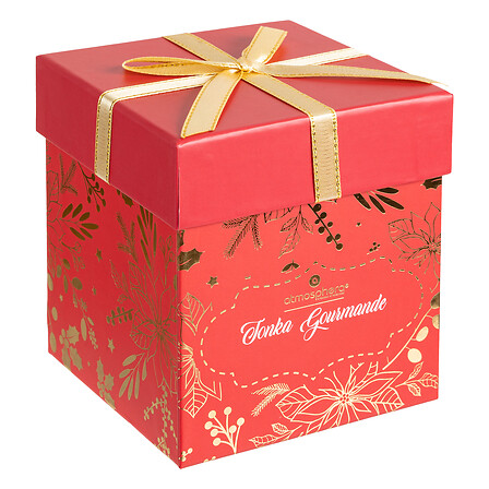 Atmosphera Bougie Parfumée Tonka Gourmande Rouge Verre 8x10cm 210g
