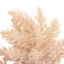 Alternative Image