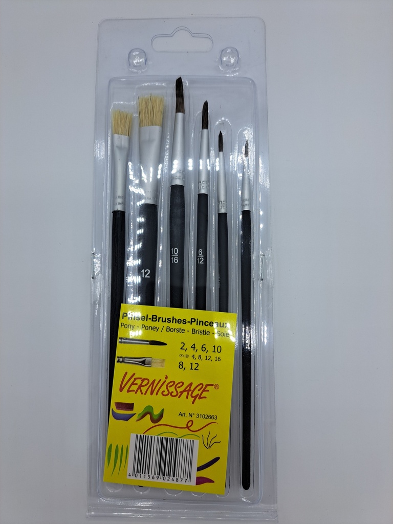SET 6 PINCEAUX 2-4-6-10 PL 8-1