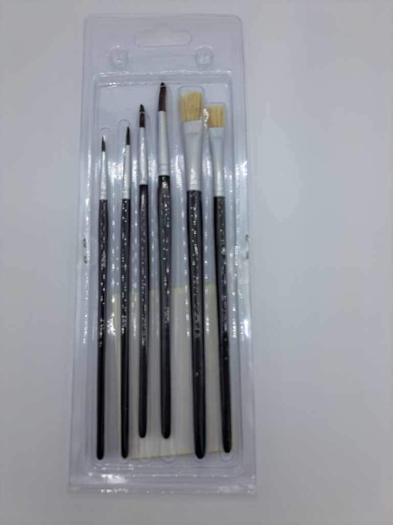 SET 6 PINCEAUX 2-4-6-10 PL 8-1