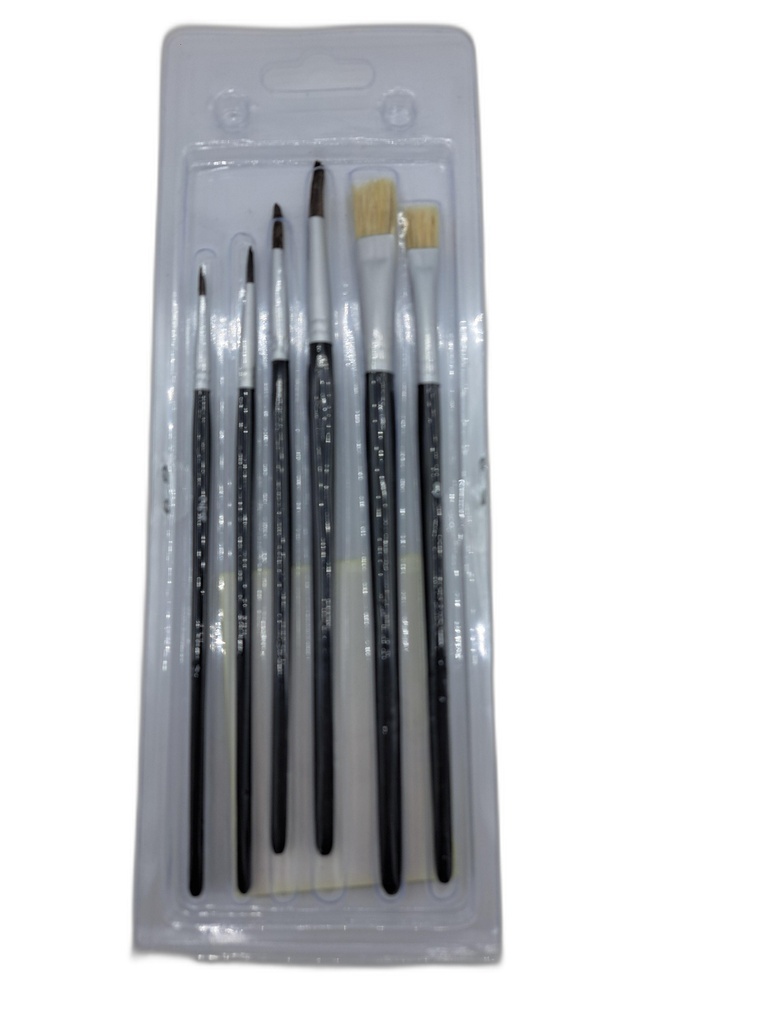 SET 6 PINCEAUX 2-4-6-10 PL 8-1