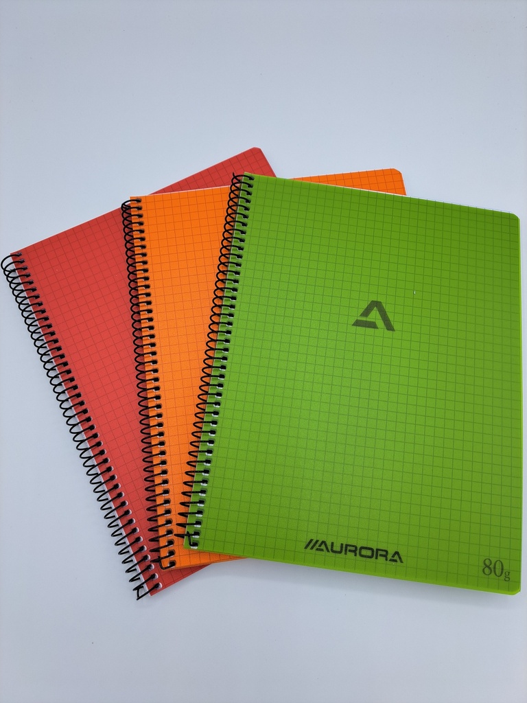 CAHIER SPIRALE PP A5 Q5