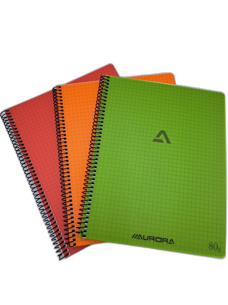 CAHIER SPIRALE PP A5 Q5
