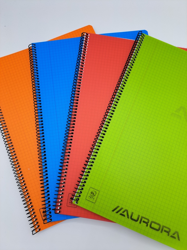 CAHIER SPIRALE PP A4 Q5