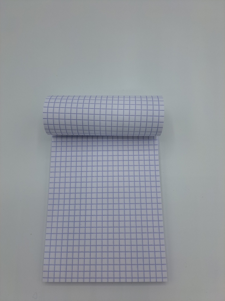 BLOC NOTES 11X15 S/B Q5 100F