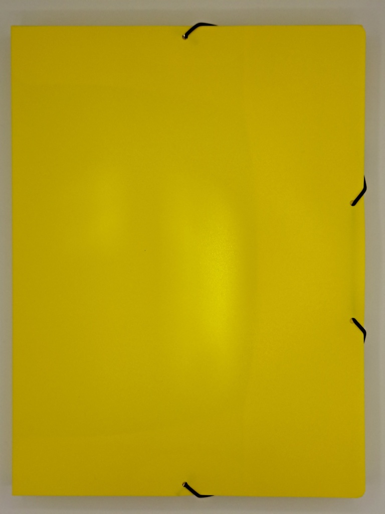 BOITE BRONYL ASS - DOS 2.5CM