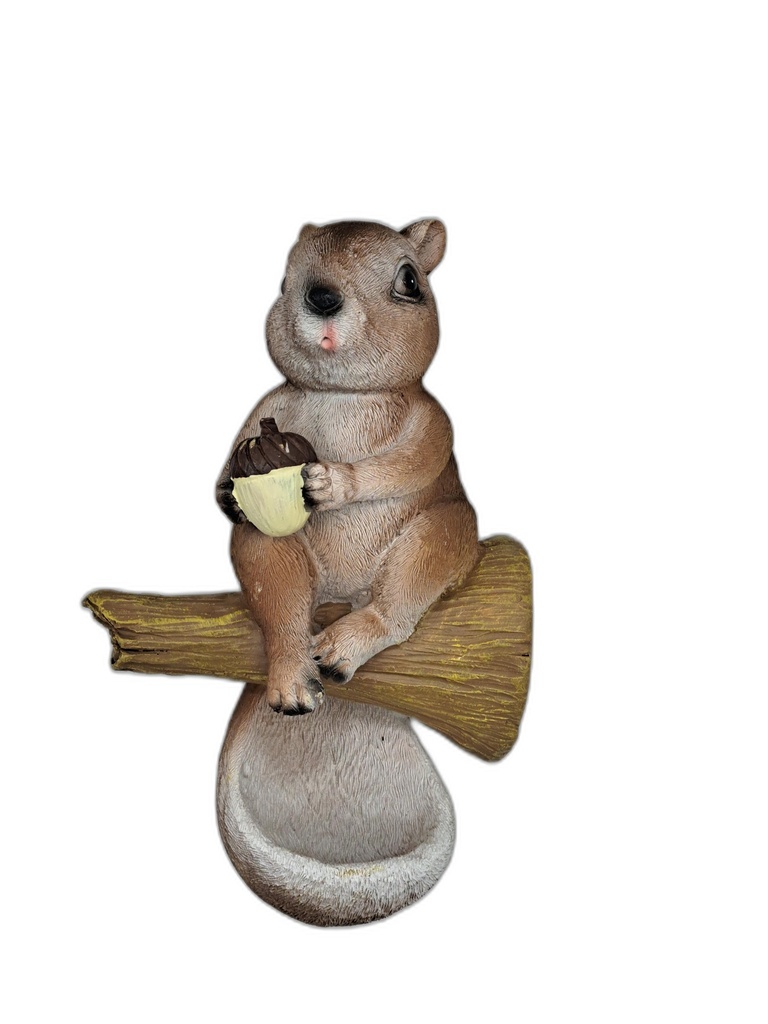 MANGEOIR POUR OISEAUX