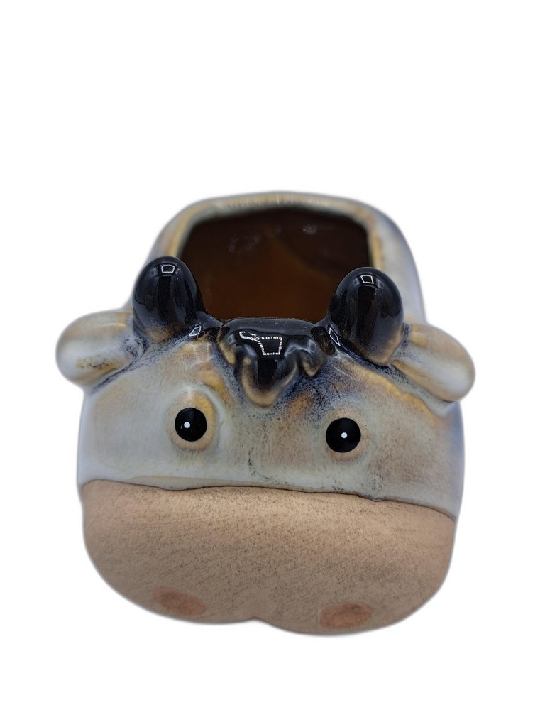 CACHE-POT ANIMAL 11X9CM 4ASS