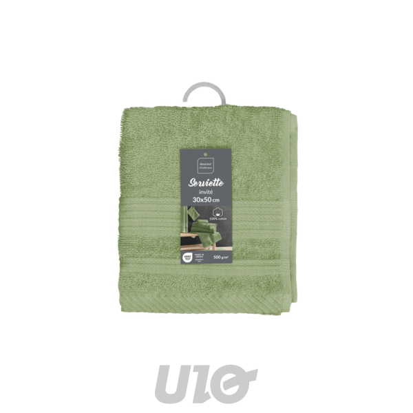 SERVIETTE INVITE 30 x 50 CM EPONGE UNIE TENDRESSE FOUGERE