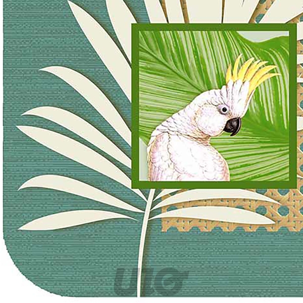 TAPIS RECTANGLE 45 x 75 CM MOUSSE IMPRIMEE CACATOES