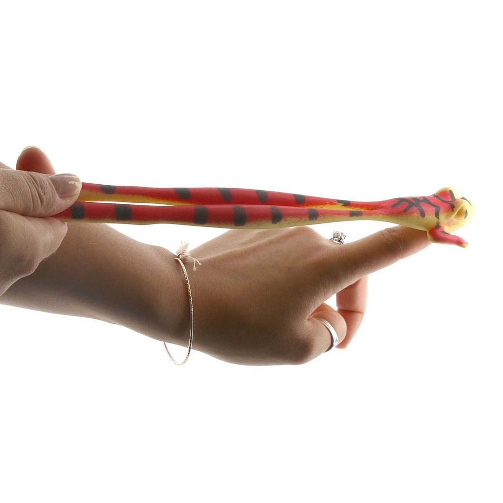 ANIMAUX GRENOUILLE SERPENT EXTENSIBLE 2M M12