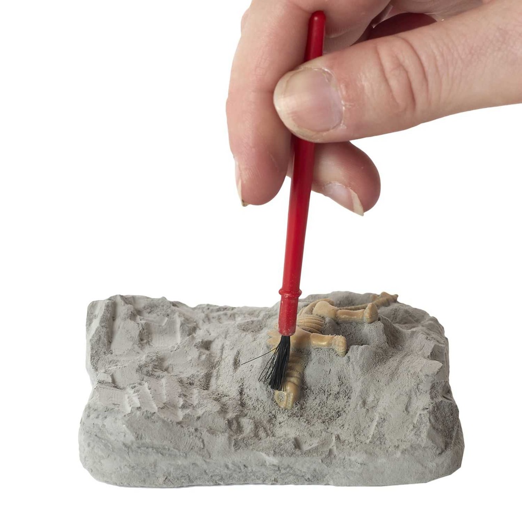 KIT DU PETIT ARCHEOLOGIE M24