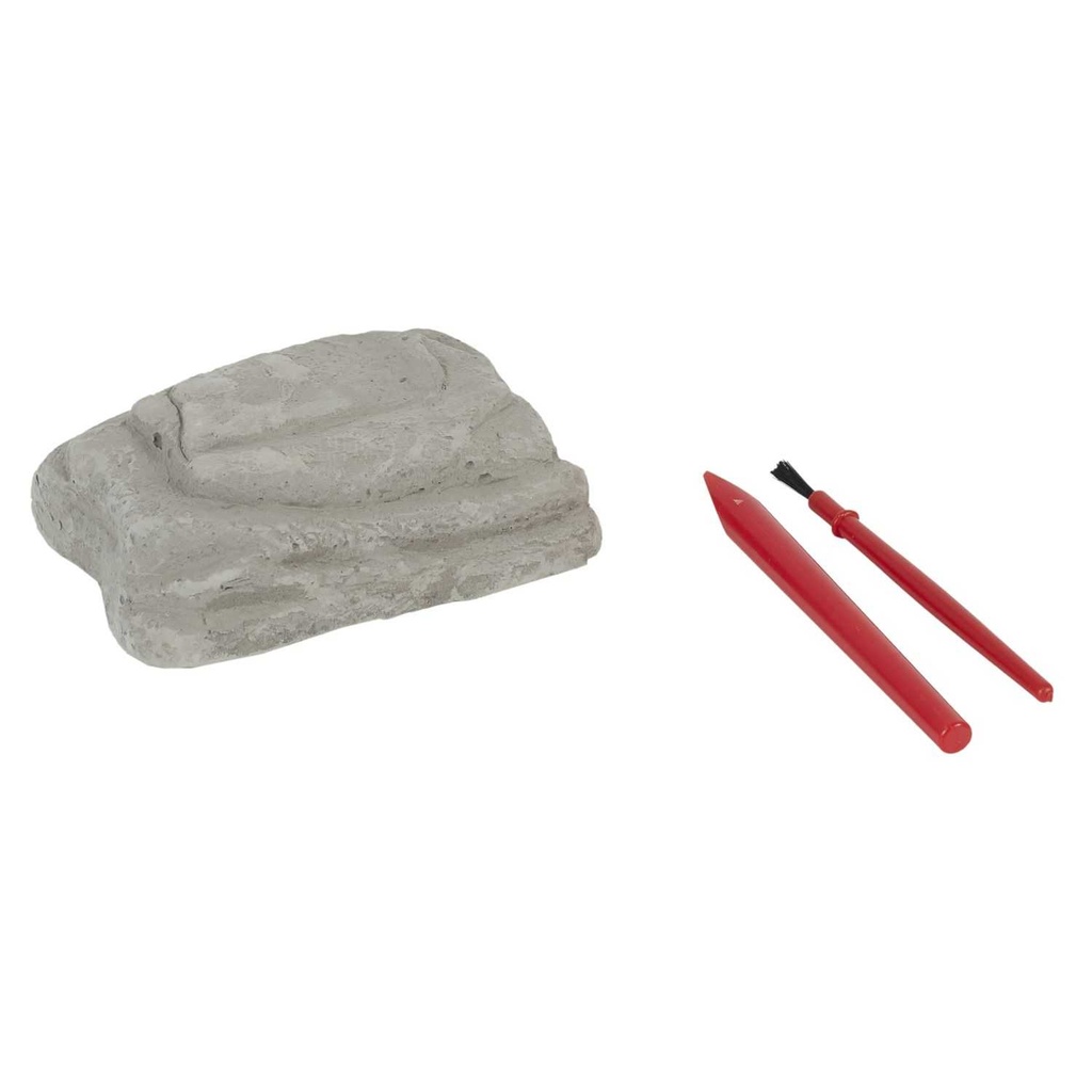 KIT DU PETIT ARCHEOLOGIE M24