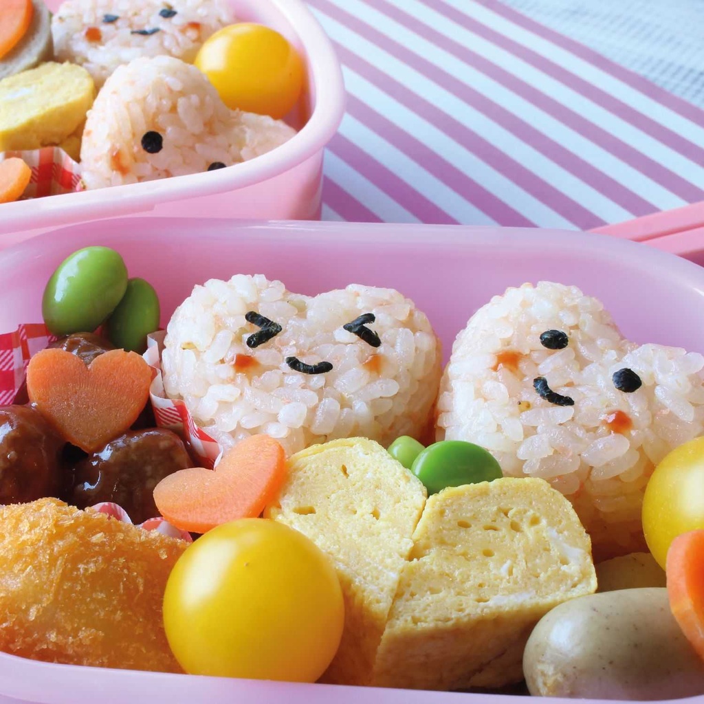 MOULE SUSHI AVEC FORME X5 M12