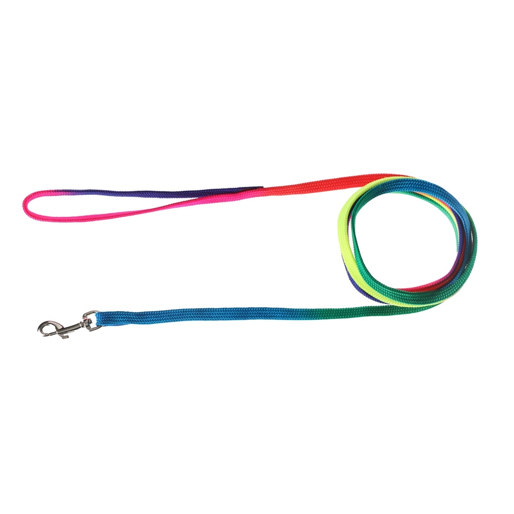 LAISSE CHAT ARC EN CIEL 10MMX2.5M