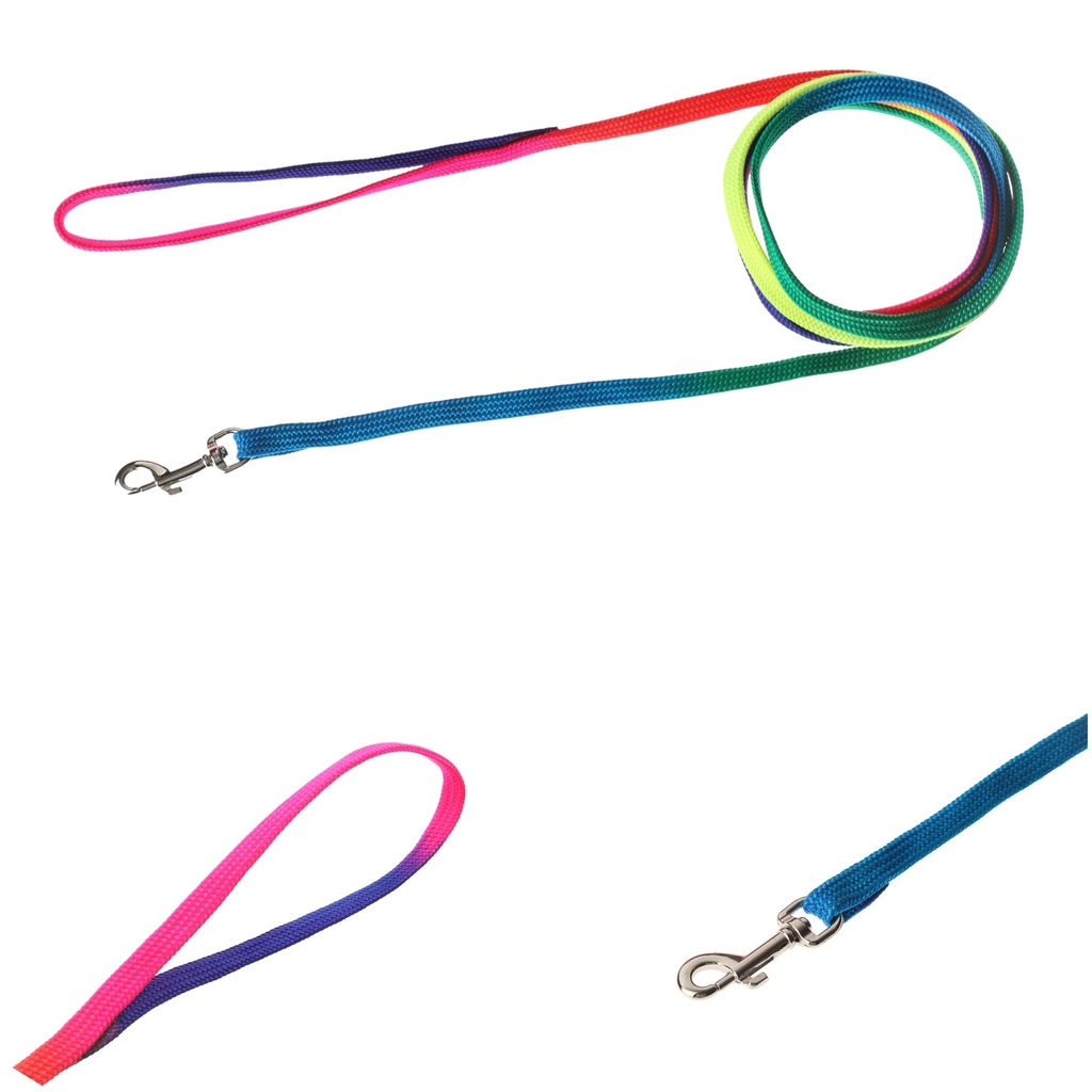 LAISSE CHAT ARC EN CIEL 10MMX2.5M