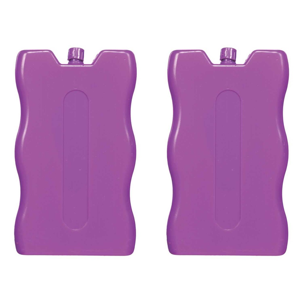 PAIN DE GLACE 20CL X2 M48