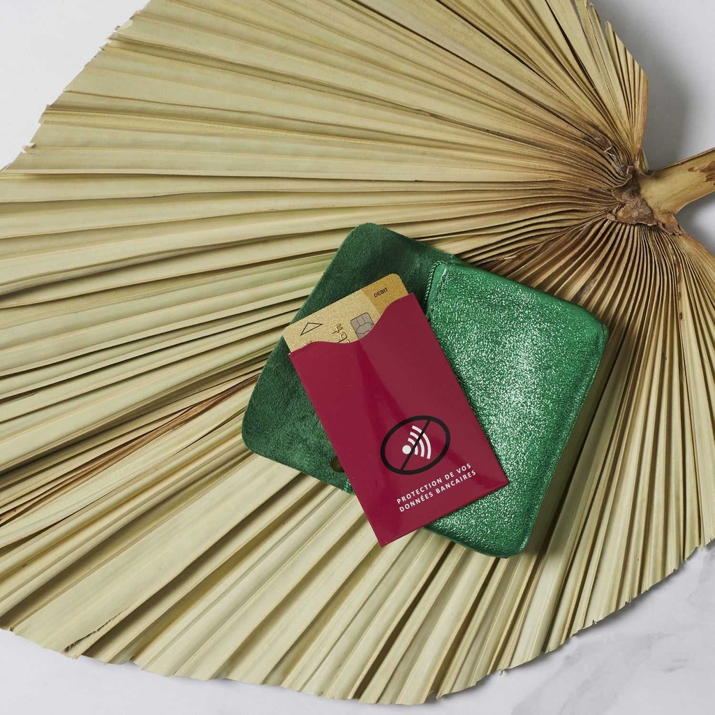 PROTEGE CARTE ANTIPIRATAGE RFID M48