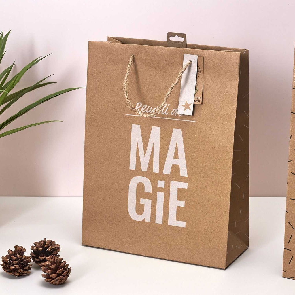 SAC CADEAU KRAFT MM 28X12X37CM M24