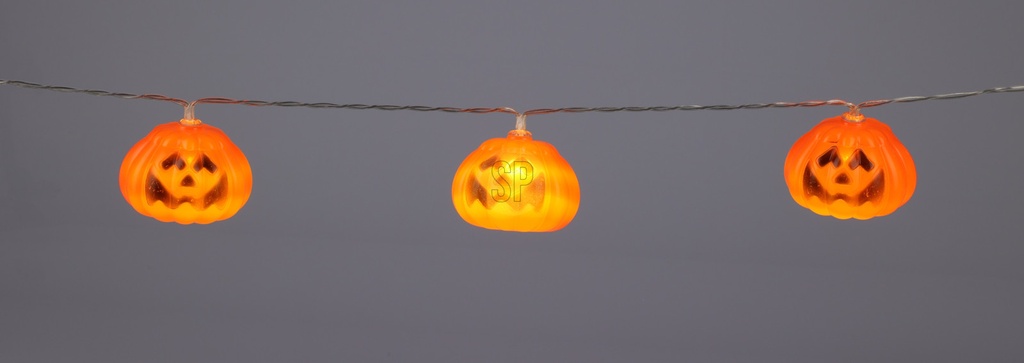 GUIRLANDE LED POTIRON 10 LUMIÈRES - 2 MOTIFS DISPONIBLES