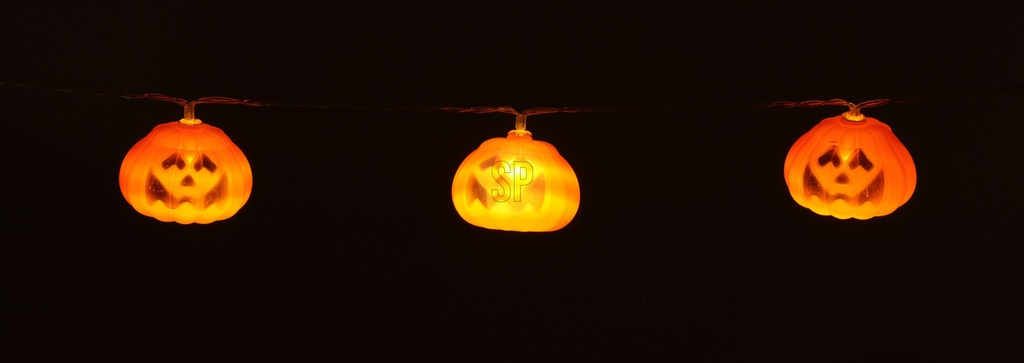 GUIRLANDE LED POTIRON 10 LUMIÈRES - 2 MOTIFS DISPONIBLES