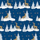 PAPIER KDO TRADI BLEU 200X70