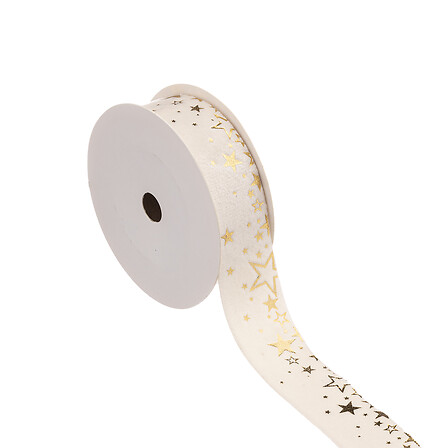 RUBAN VELOURS 25MMX3M 3ASS