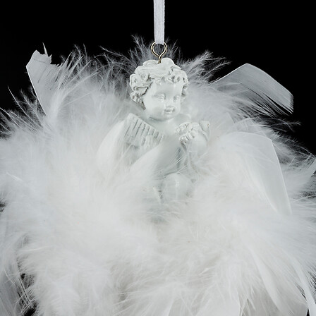 SDN PLUME ANGE S/ COURONNE