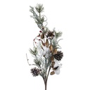 BCH COTON BAIES H78CM
