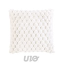 COUSSIN DEHOUSSABLE COMPRESSE 45x45 CM IMITATION FOURRURE/VELOURS FROSTY NATUREL