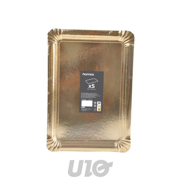 SET DE 5 PLATEAUX RECTANGLE 24*34CM OR