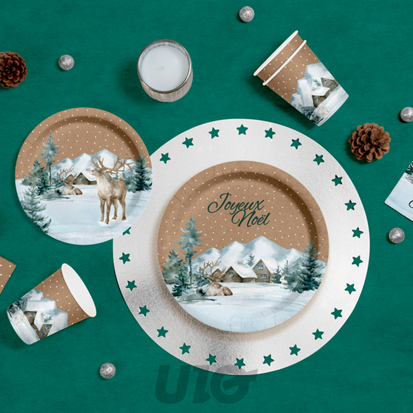 SET DE 6 ASSIETTES EN CARTON D18.5CM COTTAGE - VENDU EN DISPLAY