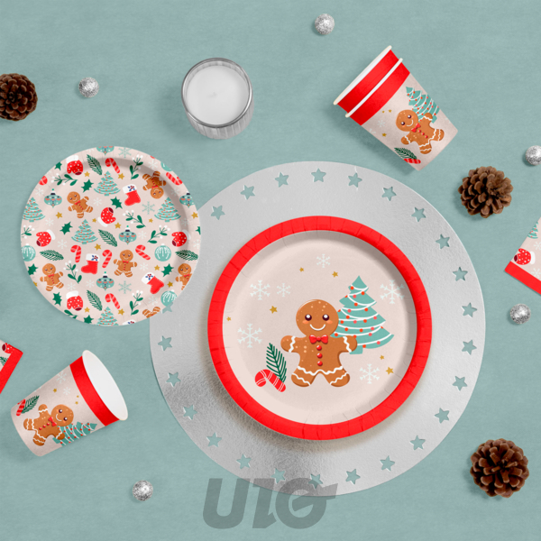 SET DE 6 ASSIETTES EN CARTON D23CM BISCUIT - VENDU EN DISPLAY