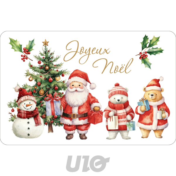 SET DE TABLE - 28.5x44CM - EN POLYPROPYLÈNE OPAQUE TIKADO