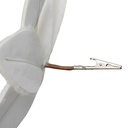 SDN POINSETTIA FOURR BL 25CM