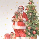 ASSIETTE PRES PERE NOEL