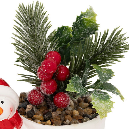 PLANTE POT PN BN H13 ASS2