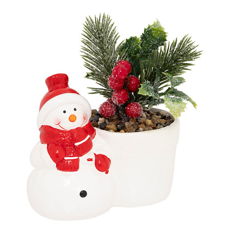 PLANTE POT PN BN H13 ASS2